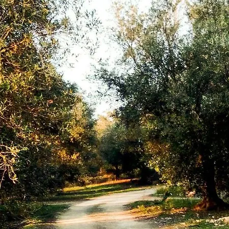Oeamea Феллине